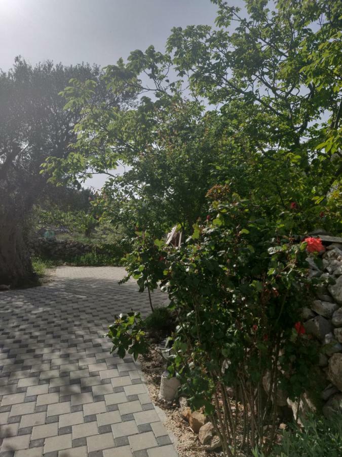 Guest House Maslina Vinišće Zewnętrze zdjęcie